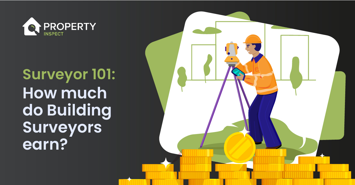 Surveyor 101: How Much do Surveyors Earn?