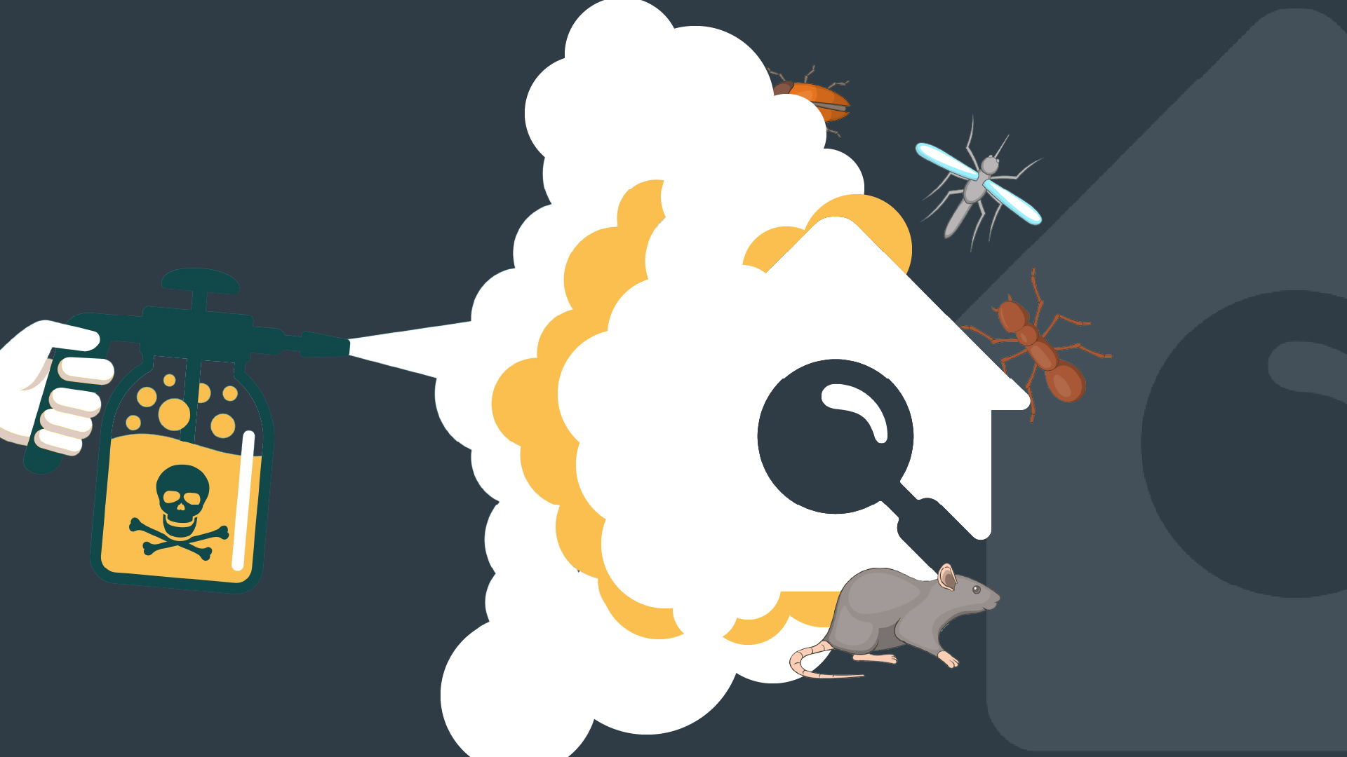 Pest Inspections: The UK’s Most Common Winter Pests