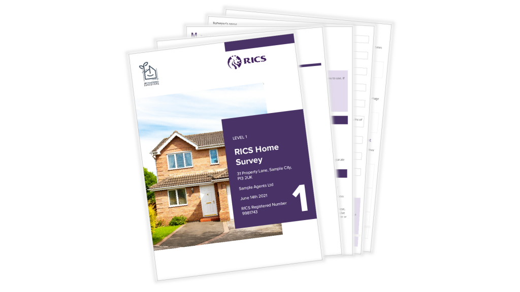 RICS Home Surveys - Why You Need One RICS Home Surveys - Why You Need One