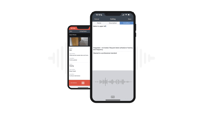 surveyor app audio notes